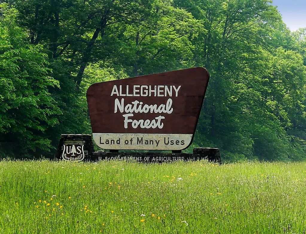 Habitat Rehabilitation Effort in Allegheny National Forest
