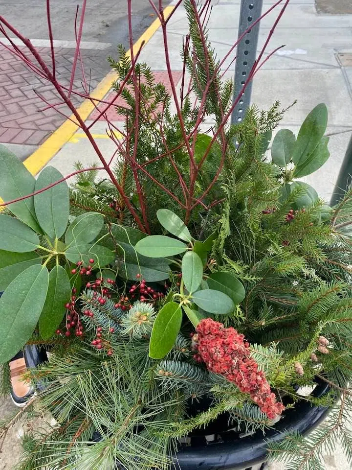 Main Street Planters