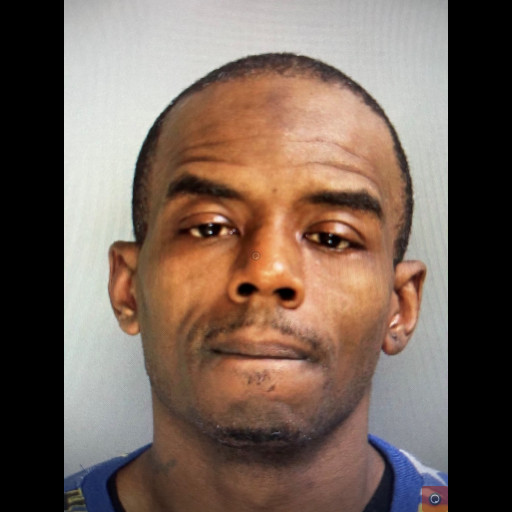 Bradford Man Pleads Guilty to Drug Charges