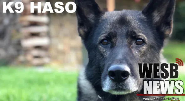 No Charges in K-9 Haso Death