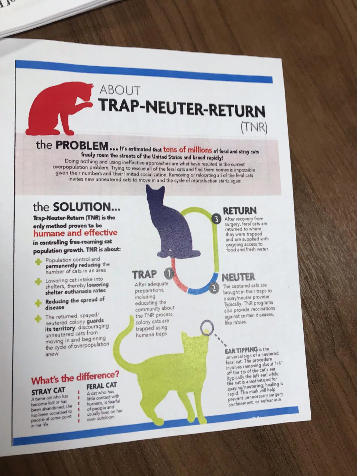 "No Felines Left Behind" Explains TNVR Initiative for Feral Cat Population