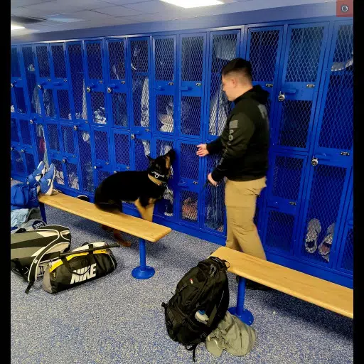 K9's Search Kane Area High School