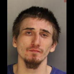 Bradford Man Arrested on Several Warrants; Fleeing; Drug Charges