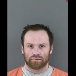 Port Allegany Man Sentenced for Meth Delivery