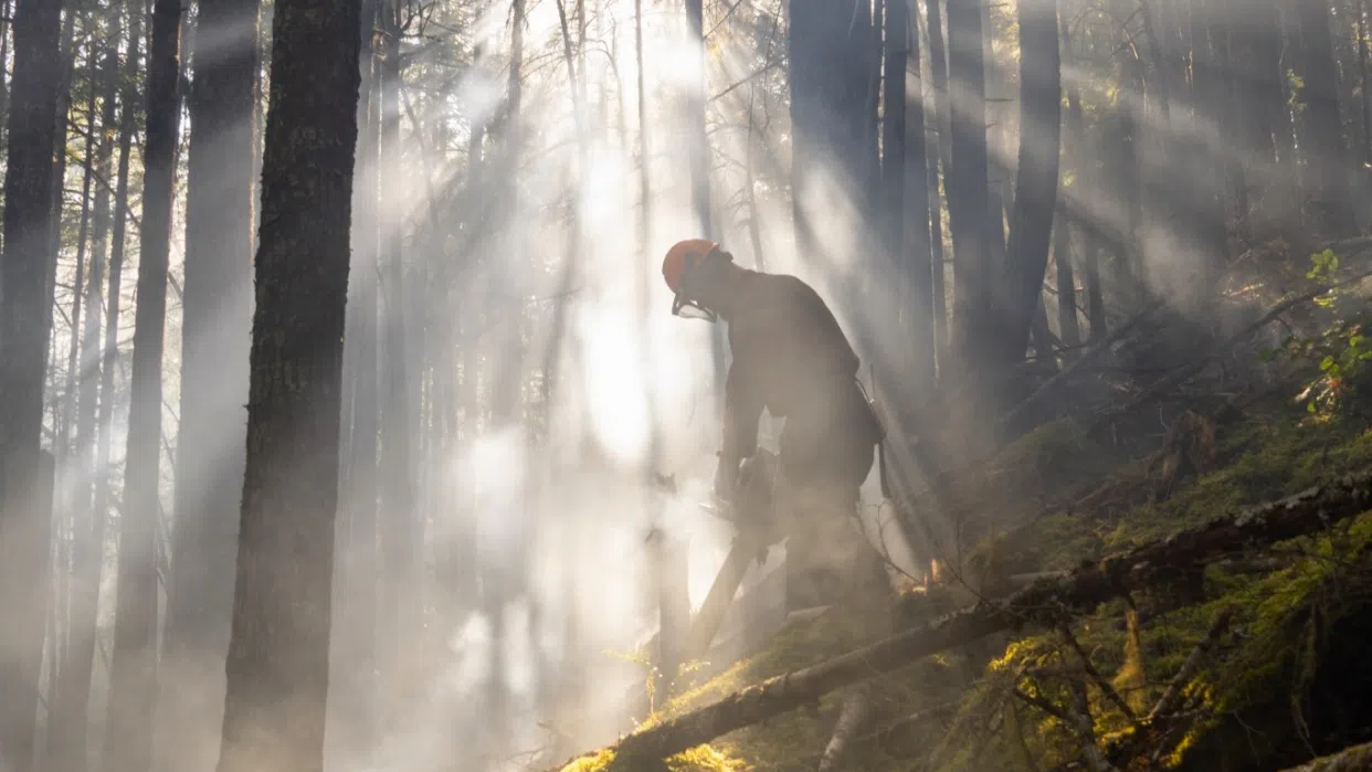 The Wesley Ridge wildfire burning north of Cameron Lake since July 31 is now considered 'being held' at 588 hectares in size as of Monday, Aug. 11. (BC Wildfire Service)