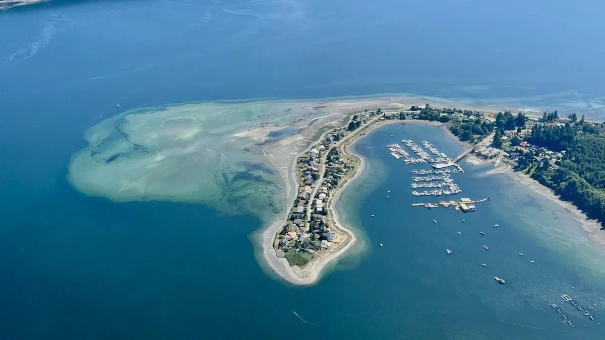 Former realtor fined for botched sale north of Qualicum Beach  