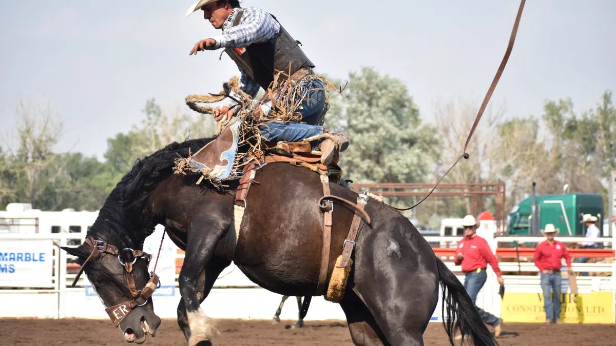 Medicine Hat Stampede Day 4 brings more rodeo competition, fireworks ...