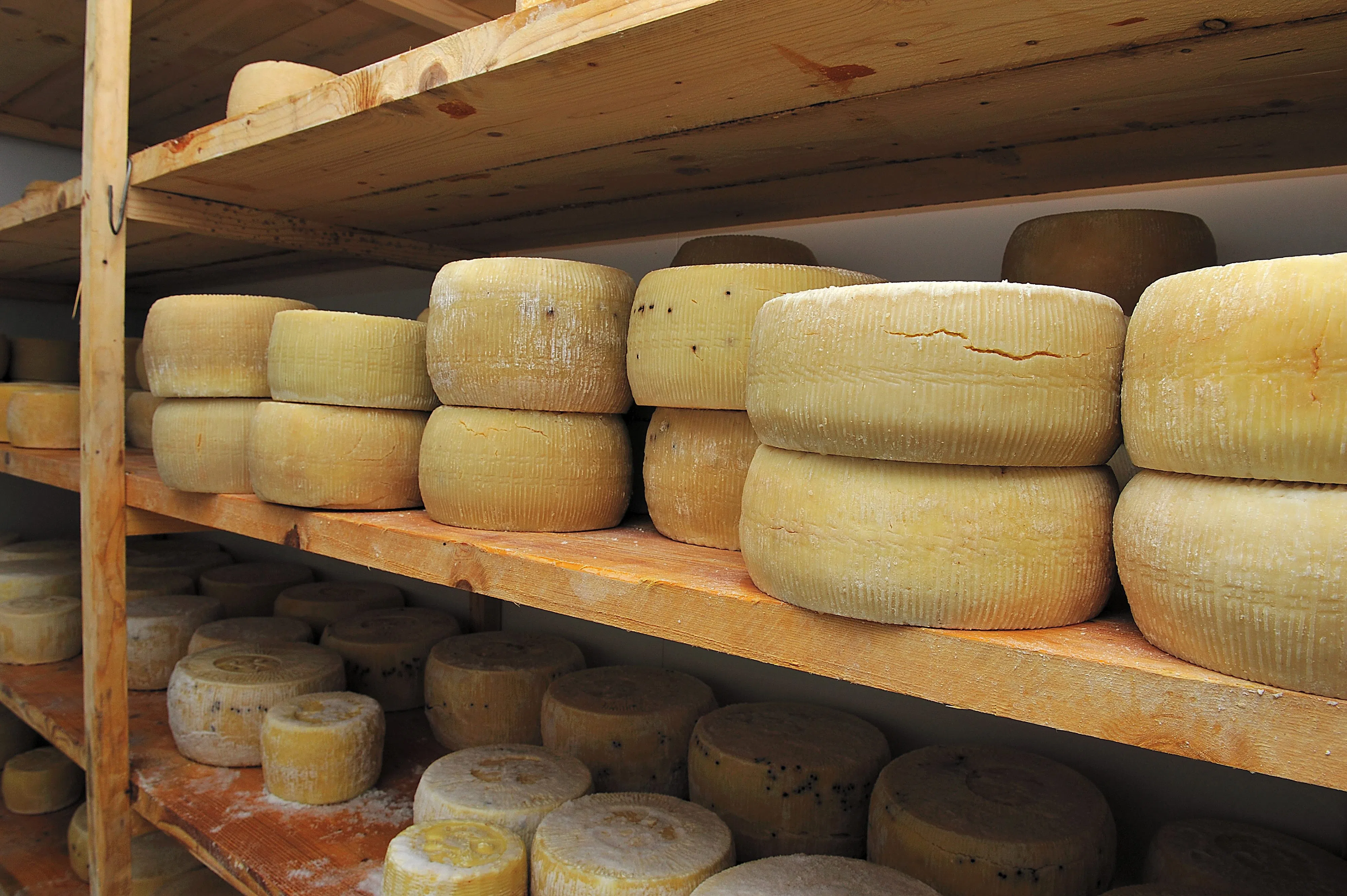 Jean Perin brand cheeses recalled in Alberta due to possible E. coli contamination. FabioConcetta/Dreamstime.com