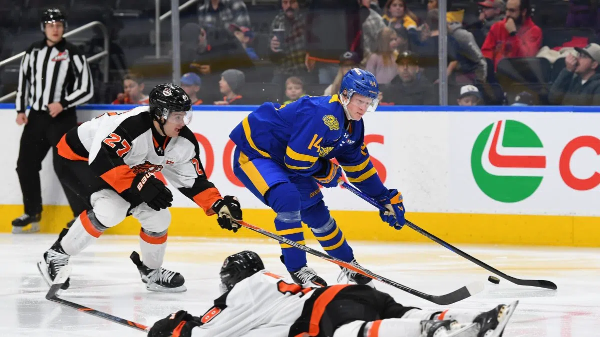 Medicine Hat Tigers return home for tilt with Tri-City Americans