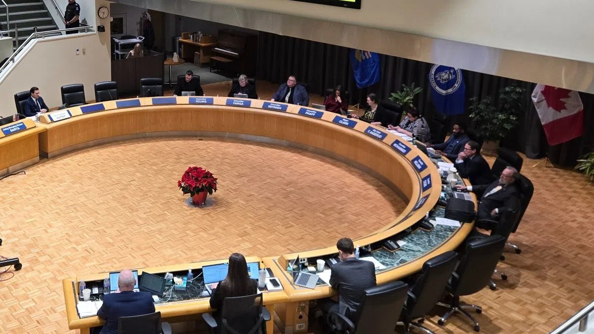 Medicine Hat City Councillor Young has been appointed as the acting mayor during a very brief meeting