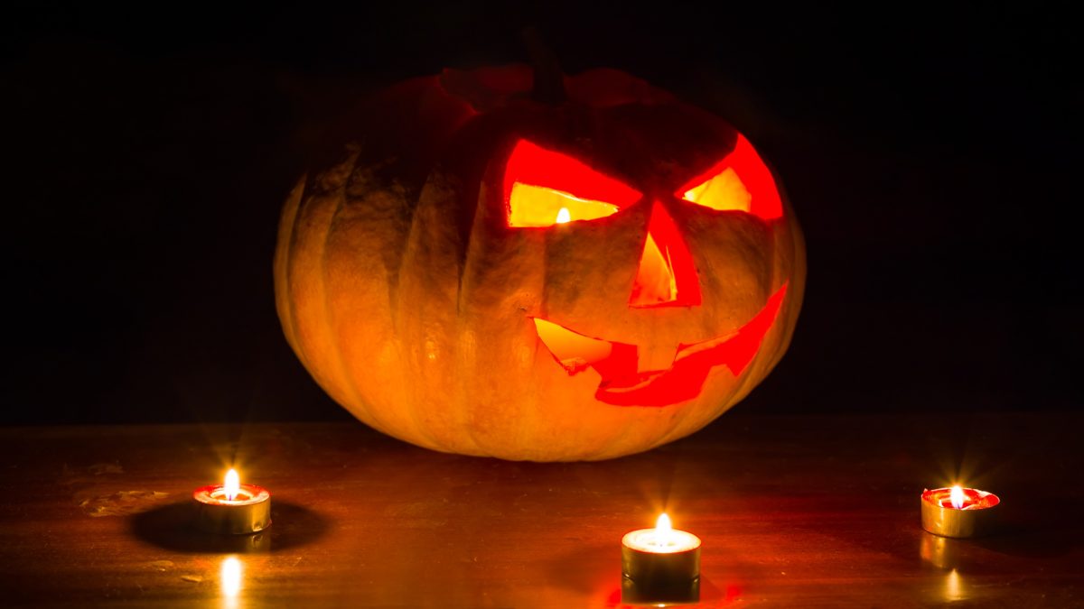 Here is What’s On in Medicine Hat this weekend: October 23-25