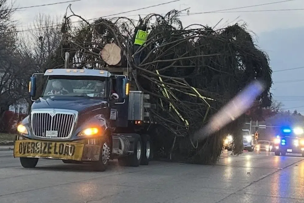 Local couple shares story of Peoria Riverfront Museum’s 75-foot Christmas tree