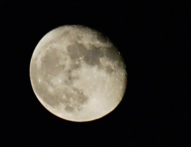 Japanese company: 'High probability' lander crashed on moon