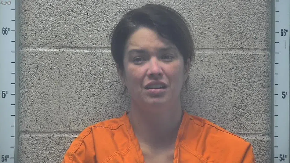Henderson County woman charged with manslaughter