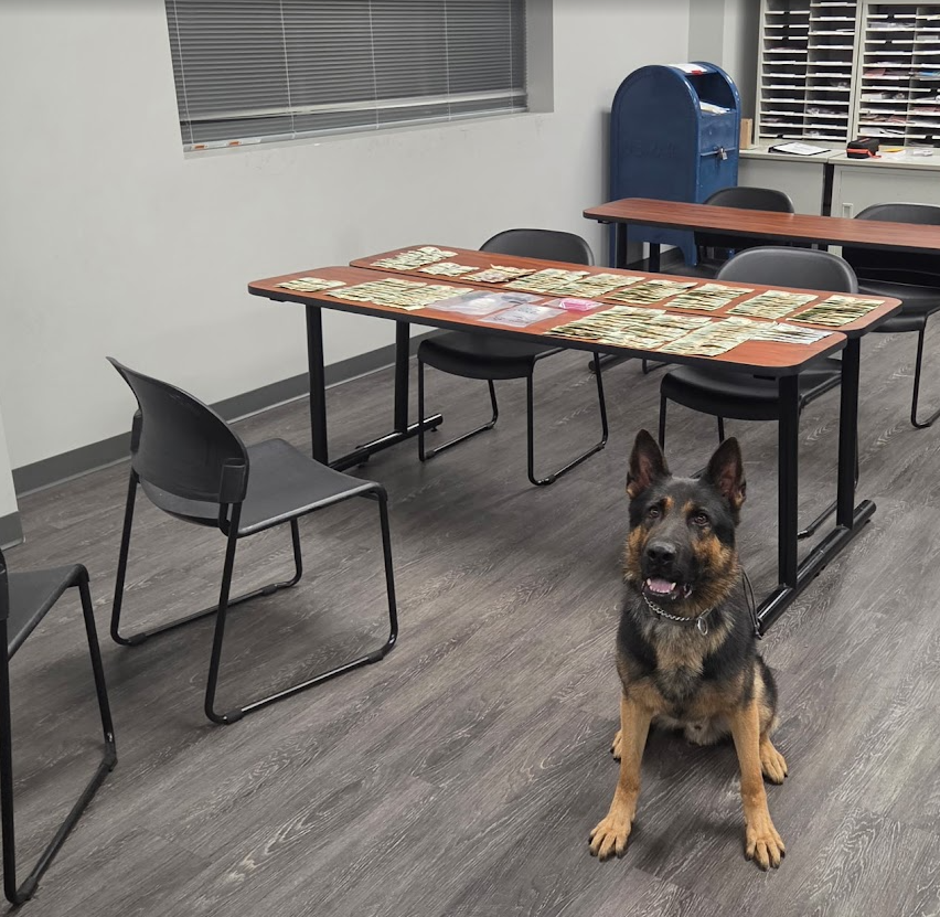 K9 Alert Leads to Drug Dealing Arrest