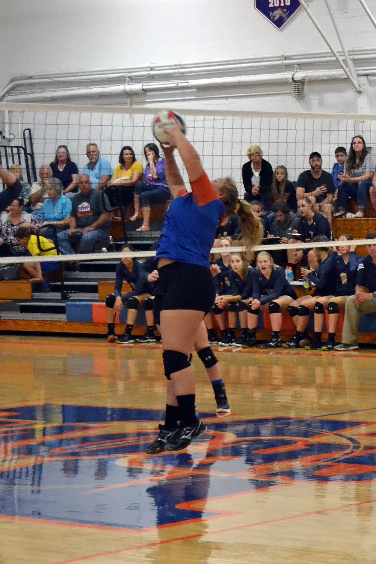 Mulberry Grove volleyball falls to Dieterich