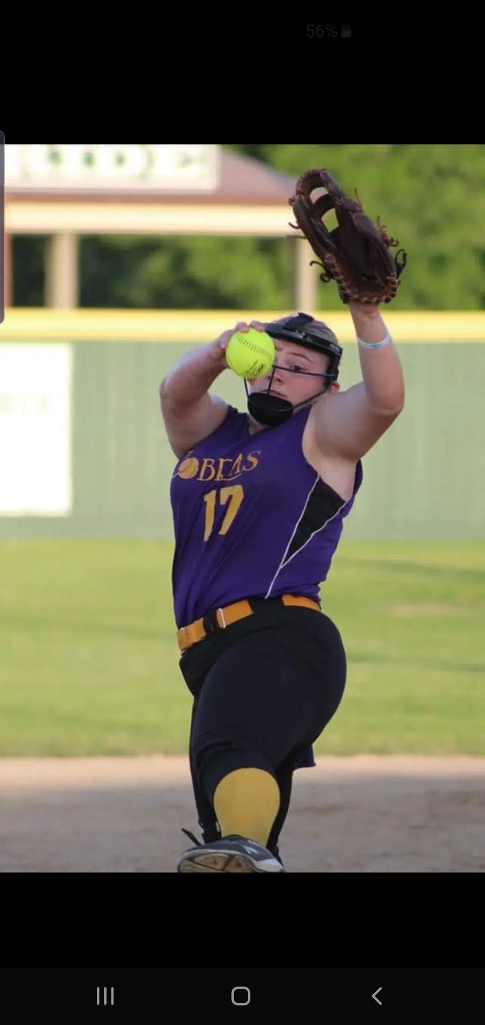 Softball-Mattoon Cobras go 3-1 on busy Sunday