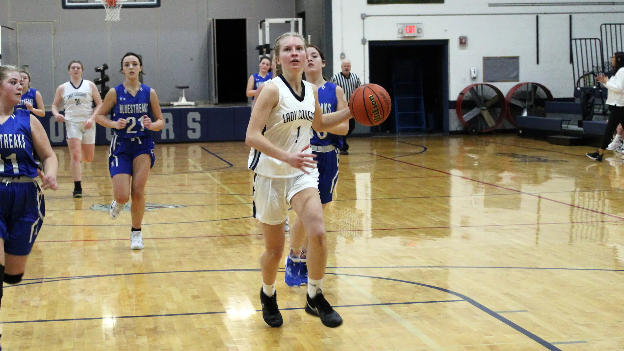 South Central girls basketball hangs on for win over Shelbyville