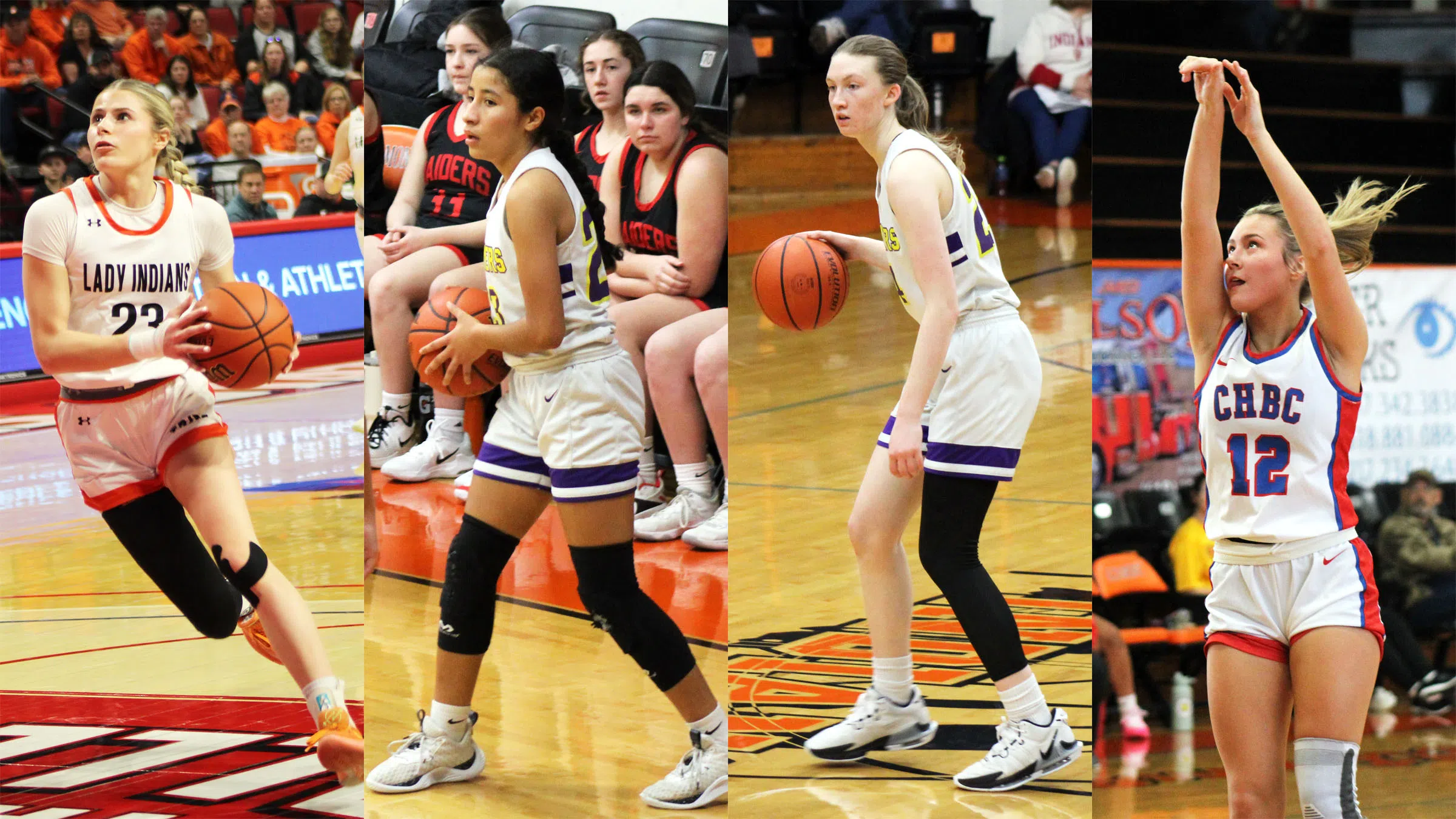 Nelson, Haslett, Seabaugh and Rodman All Named to IBCA All-State