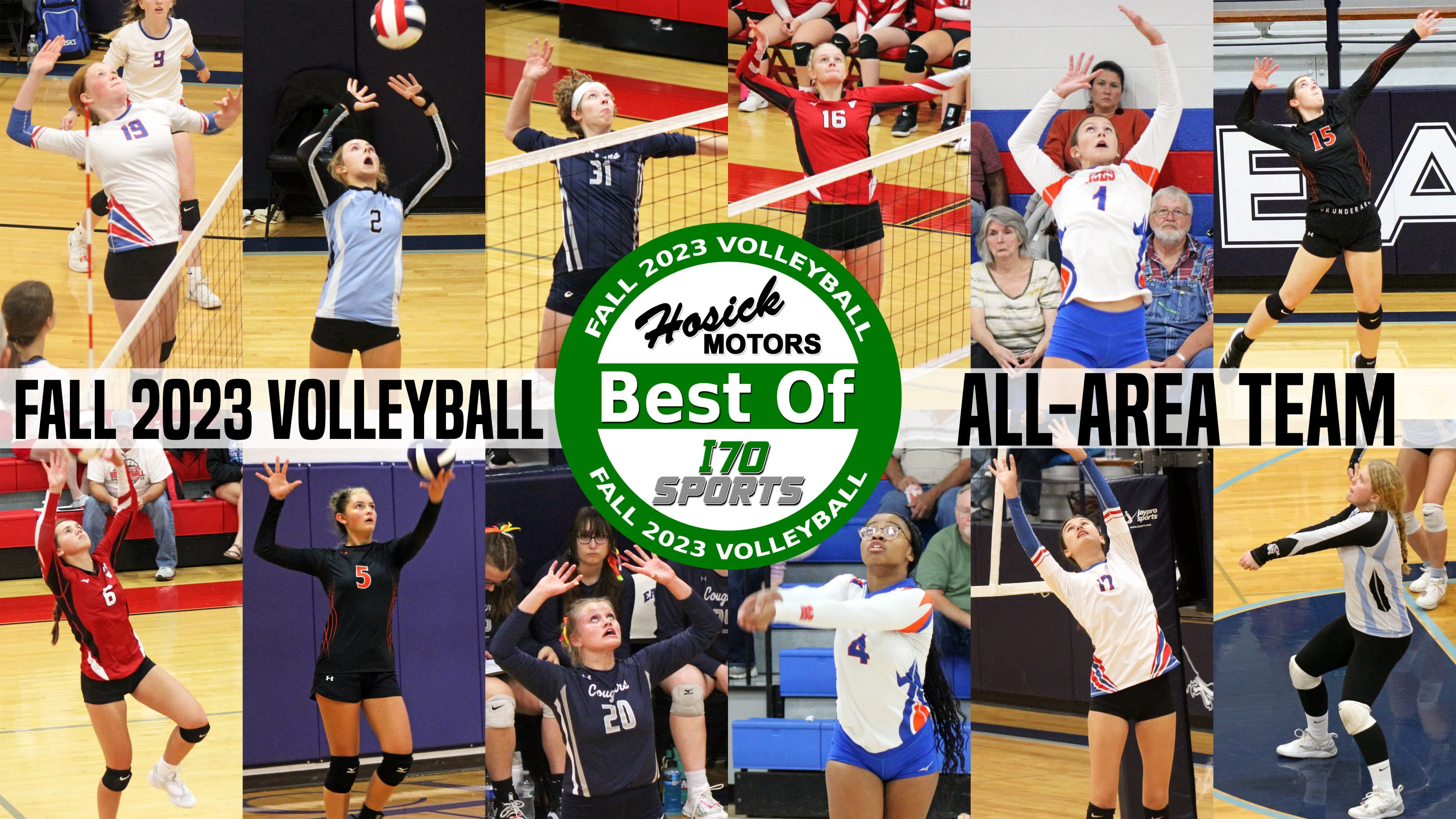 "Best Of" Fall Sports---All Area Volleyball Team