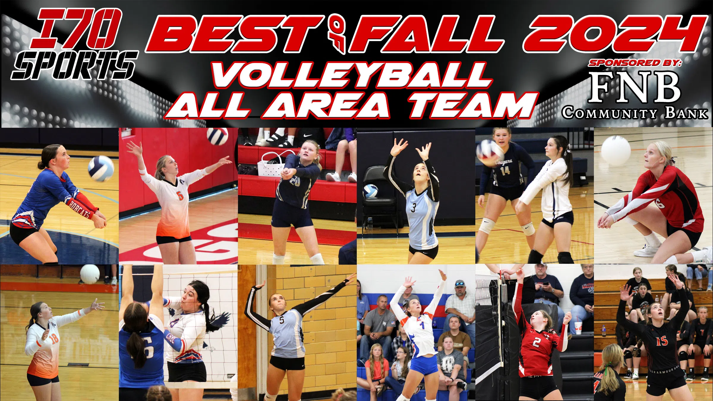 2024-25 "Best Of"--Volleyball All Area Team