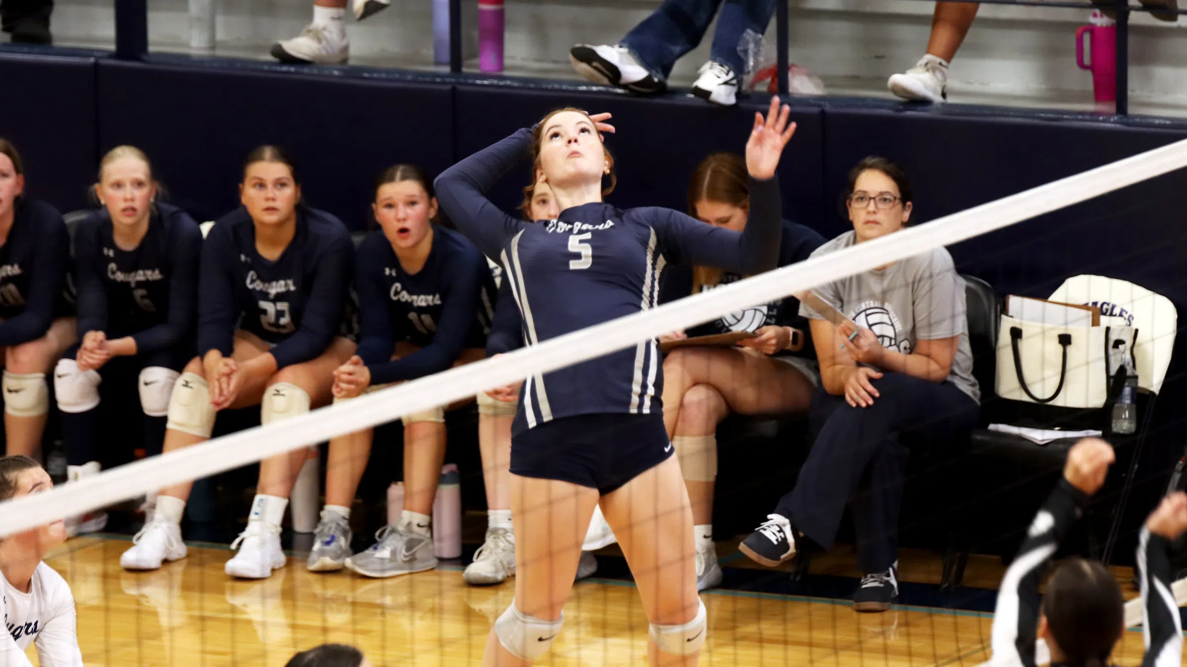 South Central Fall On the Road at Wayne City