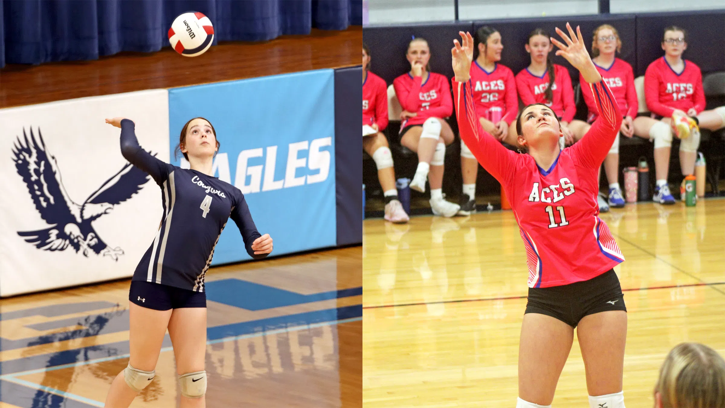 South Central Beats Mulberry Grove in St. Elmo 1A Regional Quarterfinals