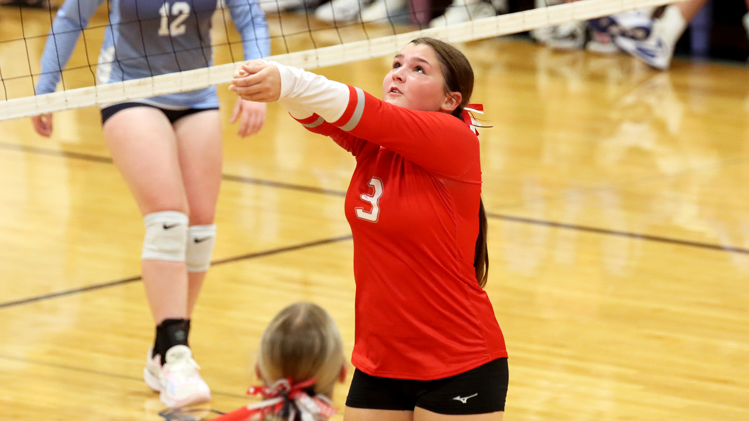 Vandalia Falls to Newton in Two Sets as Season Ends in Regional Semifinals