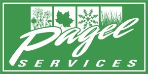 Pagel Services Logo