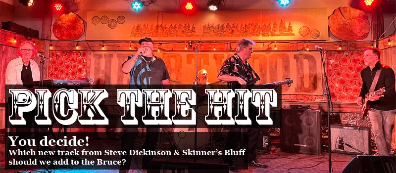 Pick The Hit – Steve Dickinson & Skinners Bluff