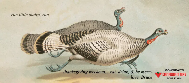 Feature: /thanksgiving-theme-weekend/
