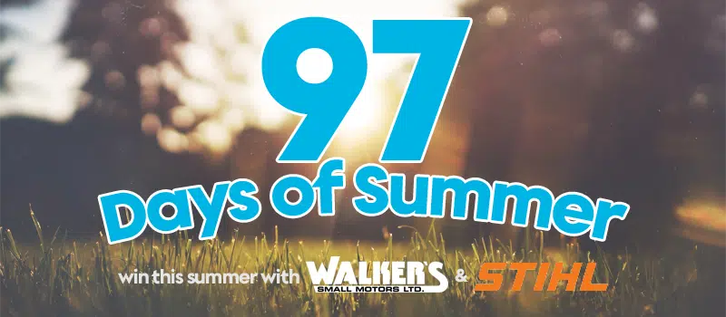 Feature: /97-days-of-summer/