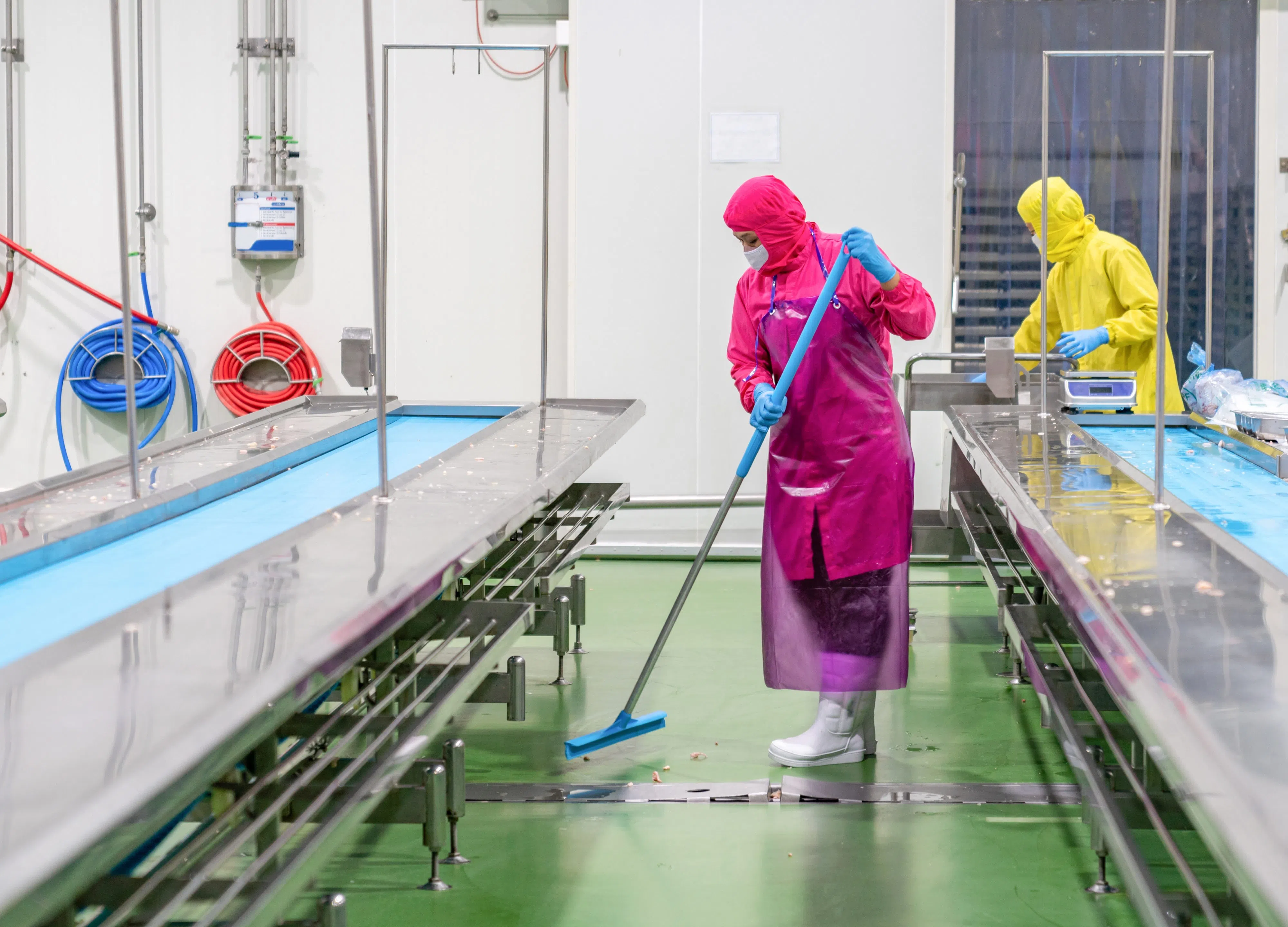 Safe Cleaning Agents for Food Processing Plants