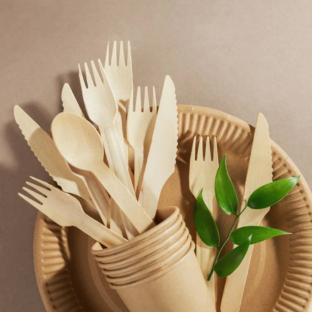 Is Compostable Always Better Than Recyclable?