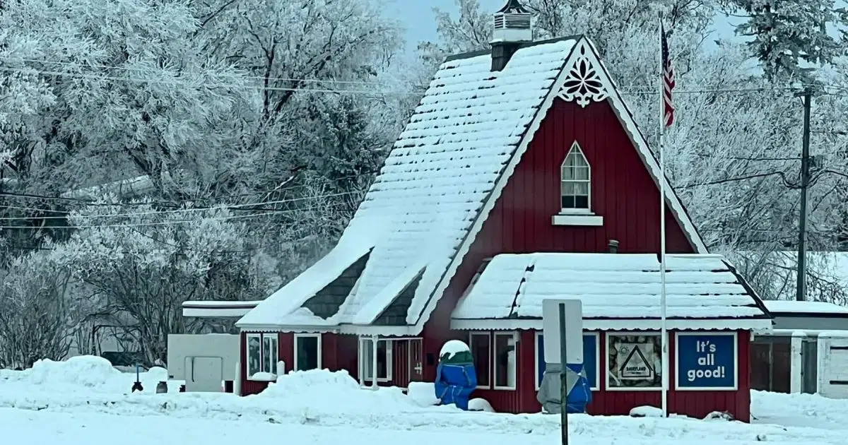 Dairyland Springs Back to life for 2023 Season Fergus Now