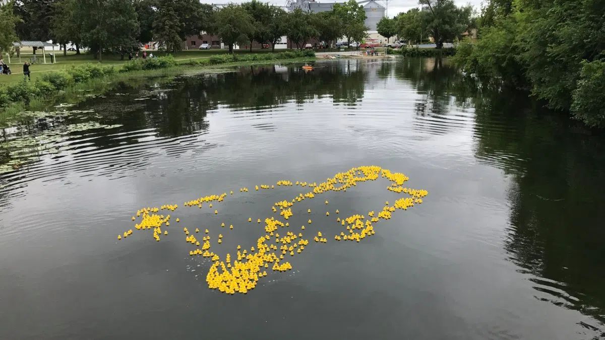 Rubber Duck Derby Makes Last Minute Changes Due to Otter Tail River’s ...