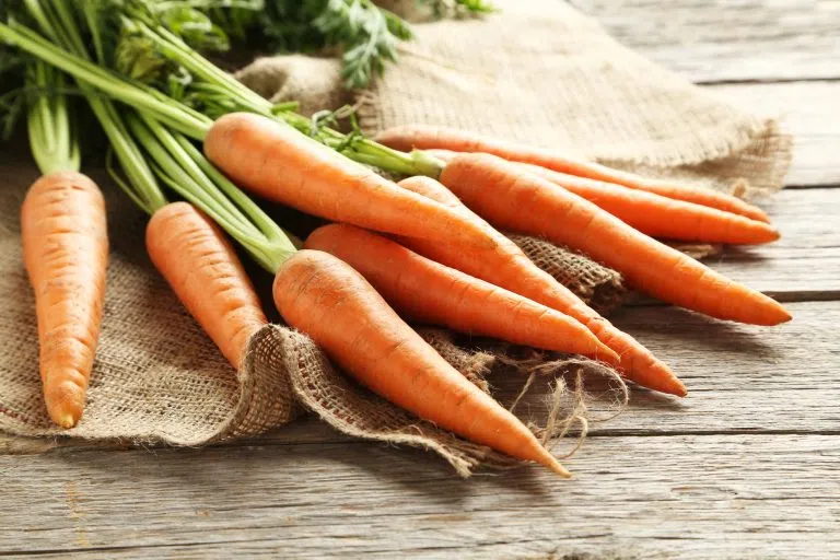 Organic Carrots Blamed for 5 Cases of E Coli Infections in Minnesota