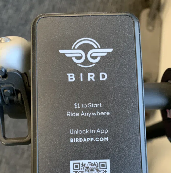 EGF Bird Ride Contract Review KNOX News Radio, Local News, Weather