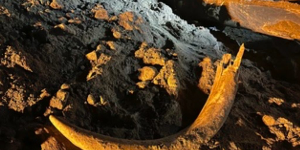 ND coal miners unearth massive tusk - Vimarsana News