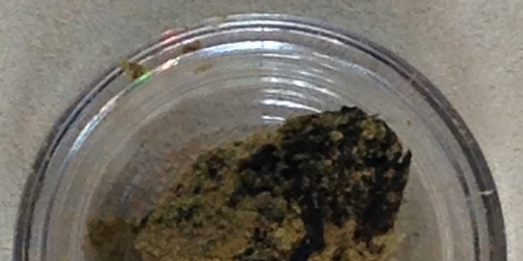 Secretary of State approves format for petition to legalize cannabis - Vimarsana News