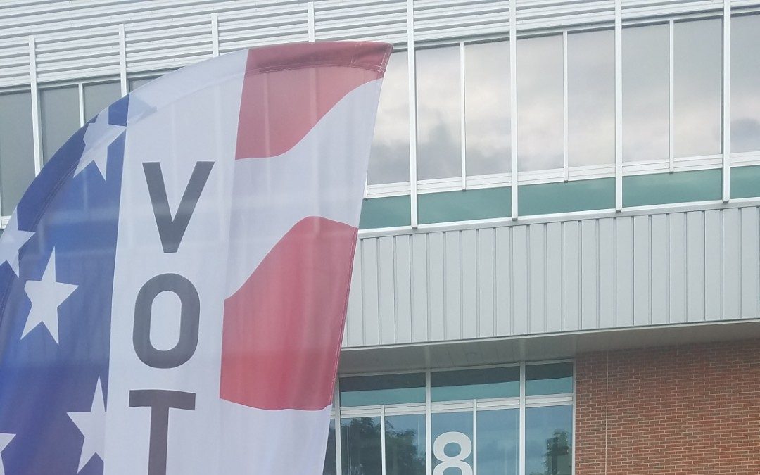 Early voting opens for the June Primary - Vimarsana News