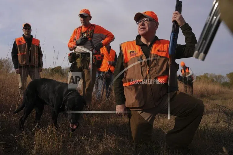 Walz Tramps Through Tall Grass on Minnesota’s Pheasant Hunting Season