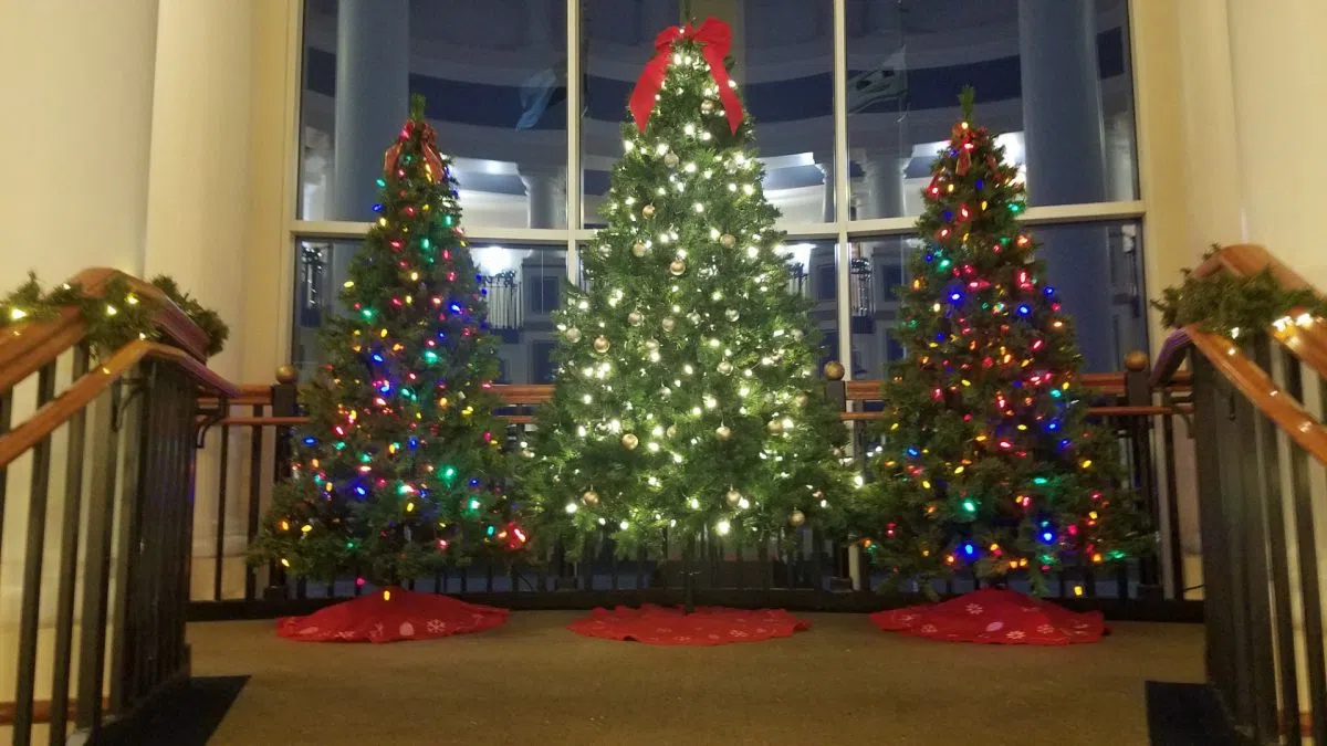 North Dakota First Lady Invites Public to Submit Ornaments for State Christmas Tree