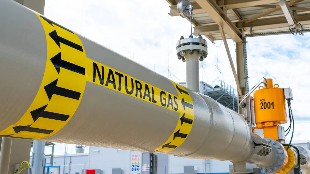 North Dakota Utility gets Rough Grade in New National Energy Scorecard