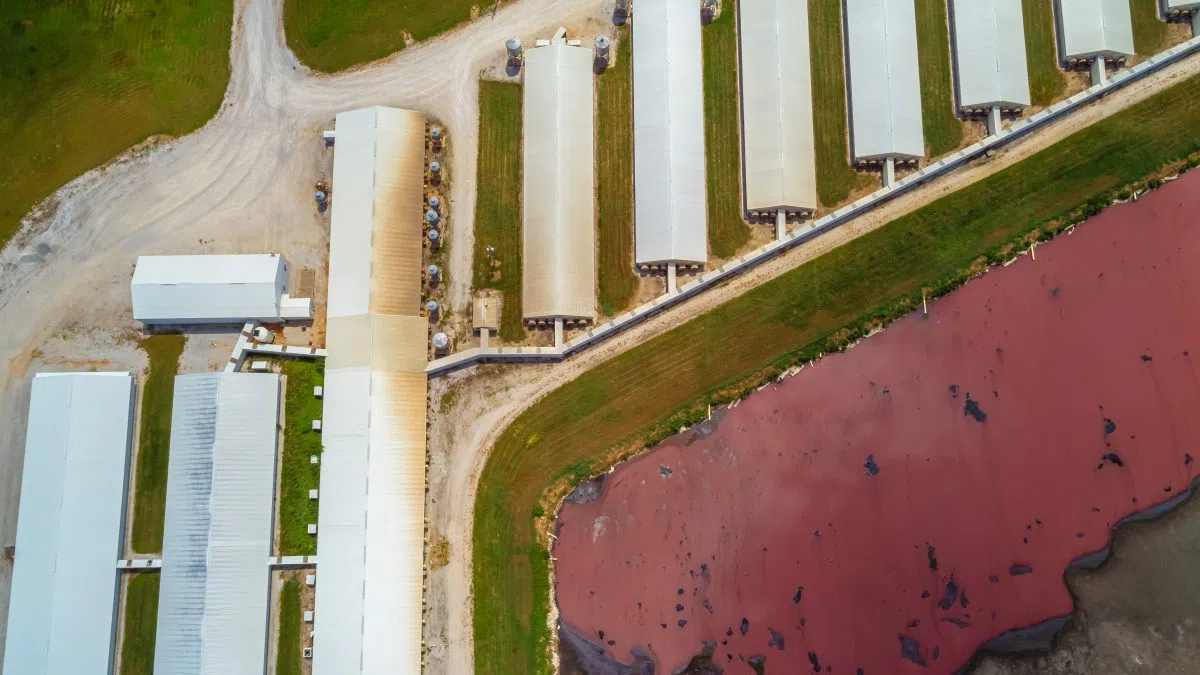 Mega Dairy Farm in North Dakota Closer to Reality