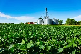 North Dakota Farmers in the Trade War