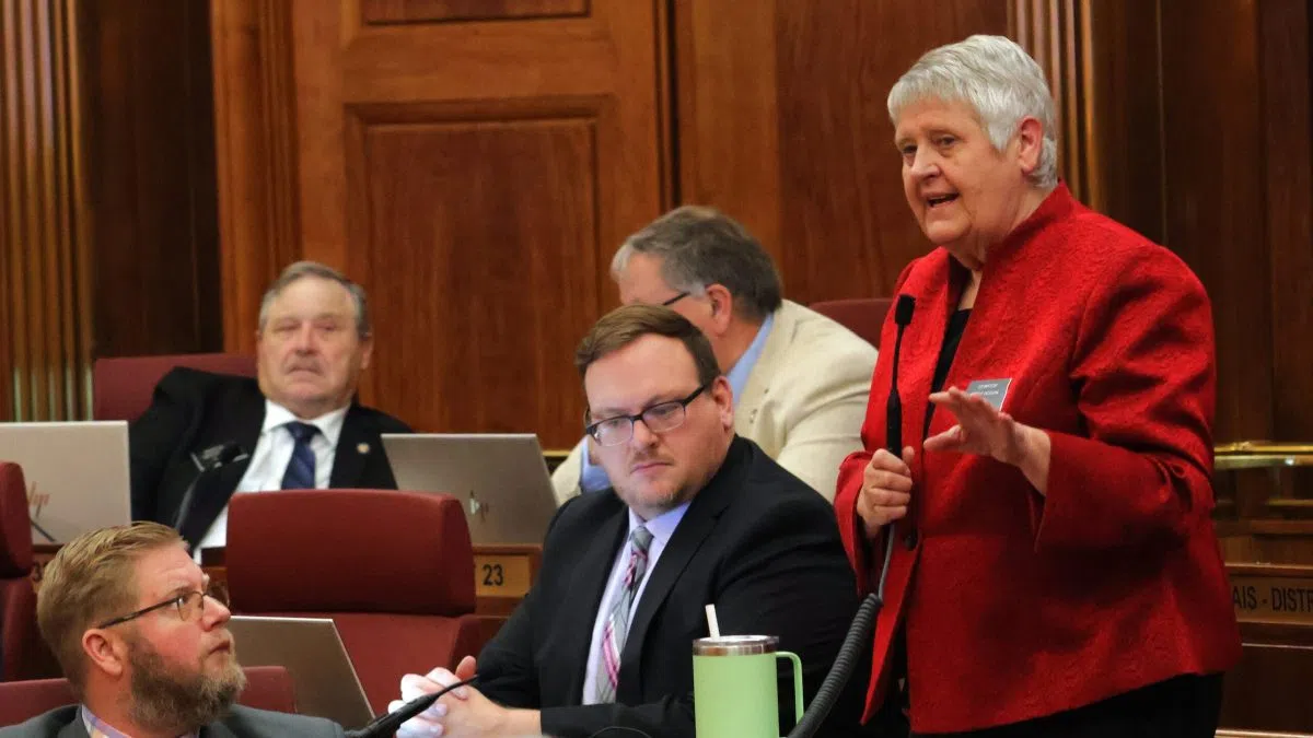 North Dakota Democratic Legislative Leader Kathy Hogan Will Not Seek Reelection This Year