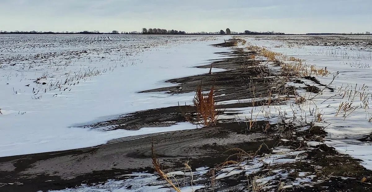 'Snirt' Threatens Minnesota's Farm Soil