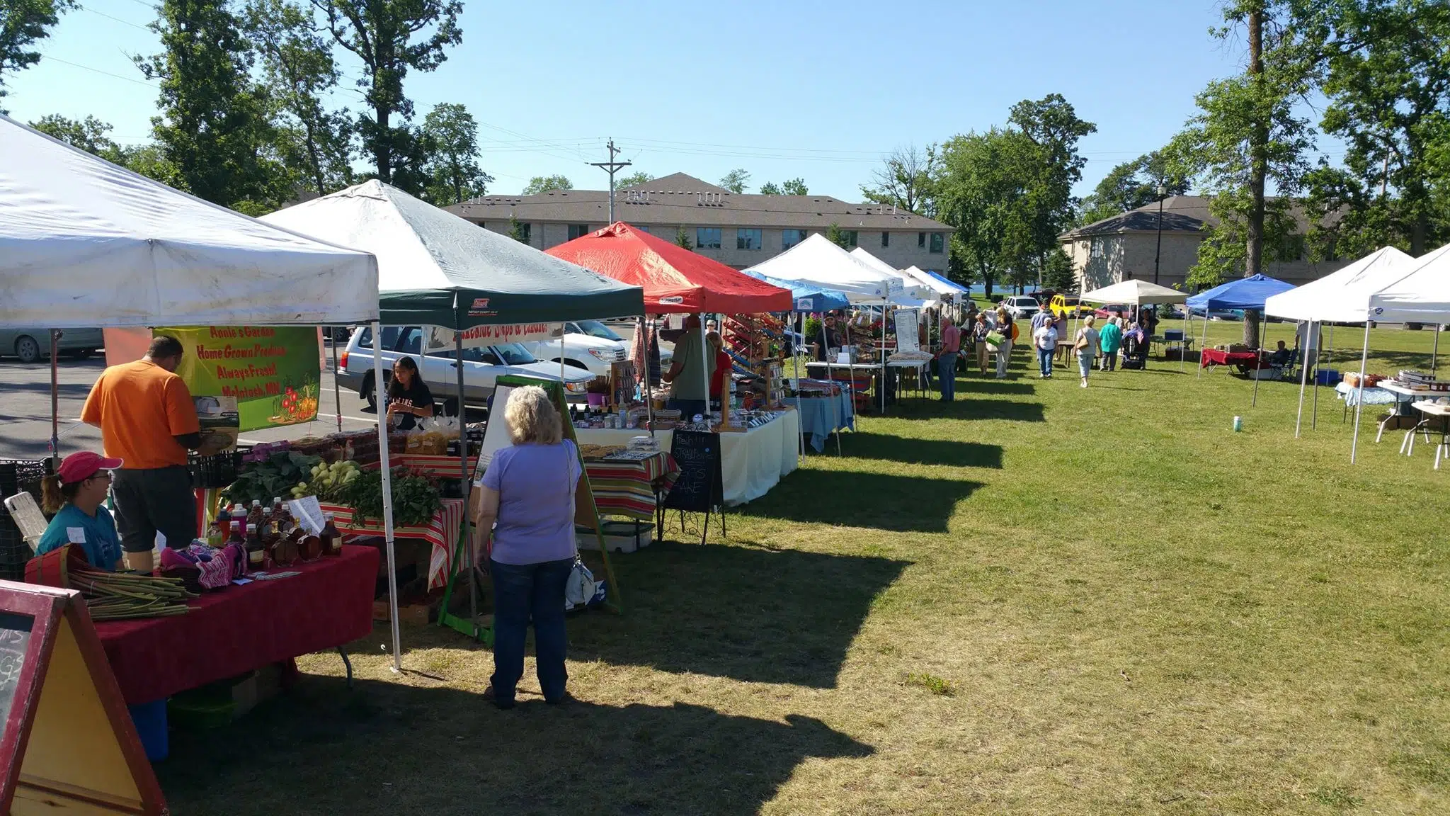 Lakes Area Farmers Market Opens May 20 In Peoples Park In Detroit Lakes 