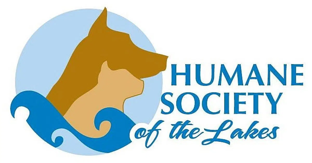 Giving Hearts Day Preview Humane Society of the Lakes Lakes Area Radio